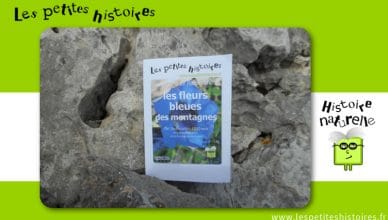 Connaitre et reconnaitre les fleurs bleues des montagnes