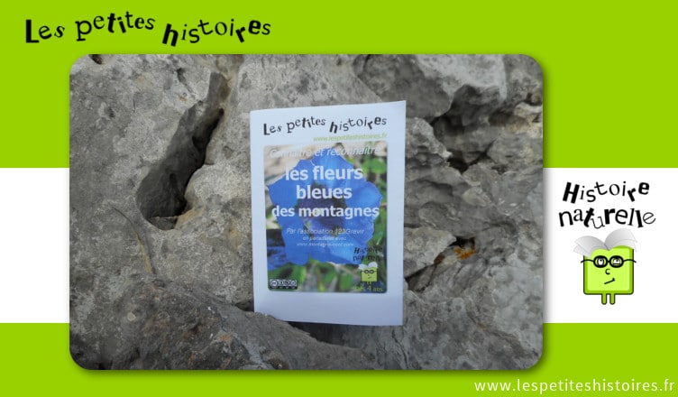 Connaitre et reconnaitre les fleurs bleues des montagnes