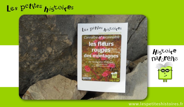 Connaitre et reconnaitre les fleurs rouges des montagnes