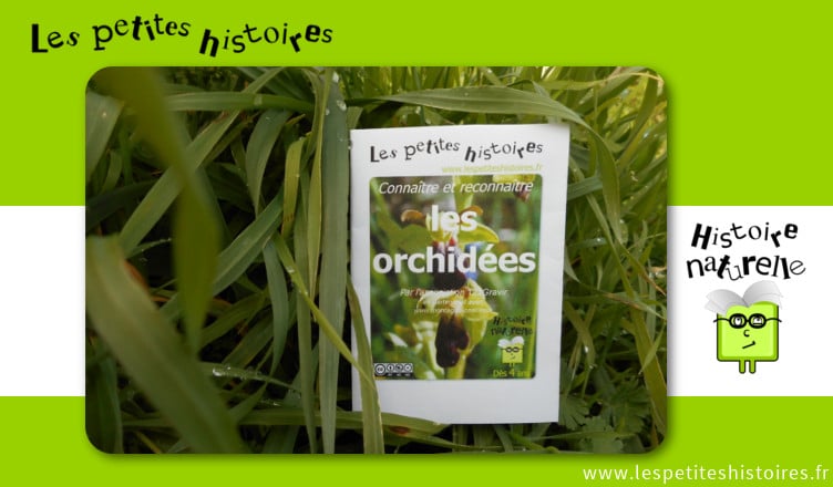 Connaitre et reconnaitre les orchidées